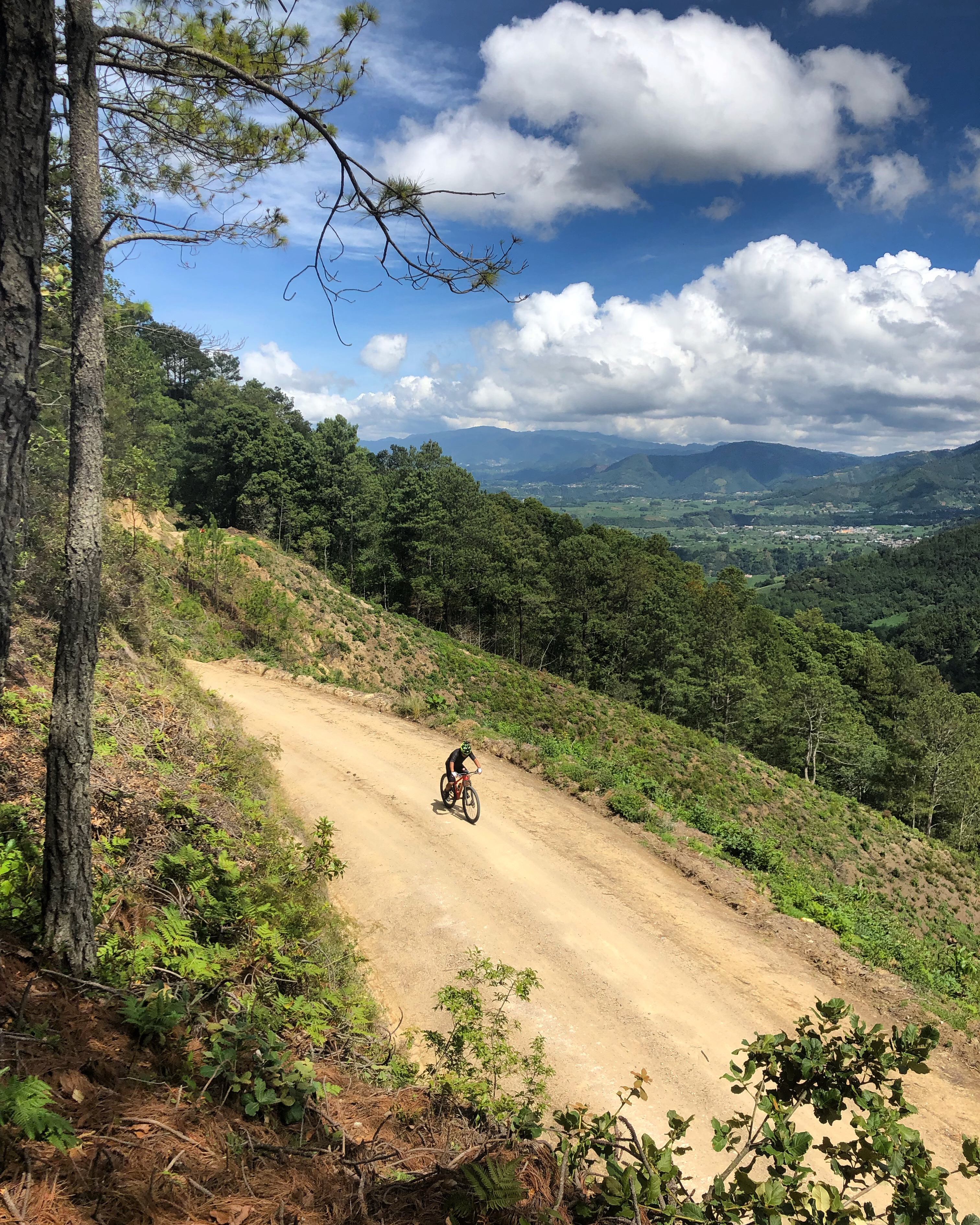 72524EA2-0253-4BA4-AA1E-A8381CDD5408