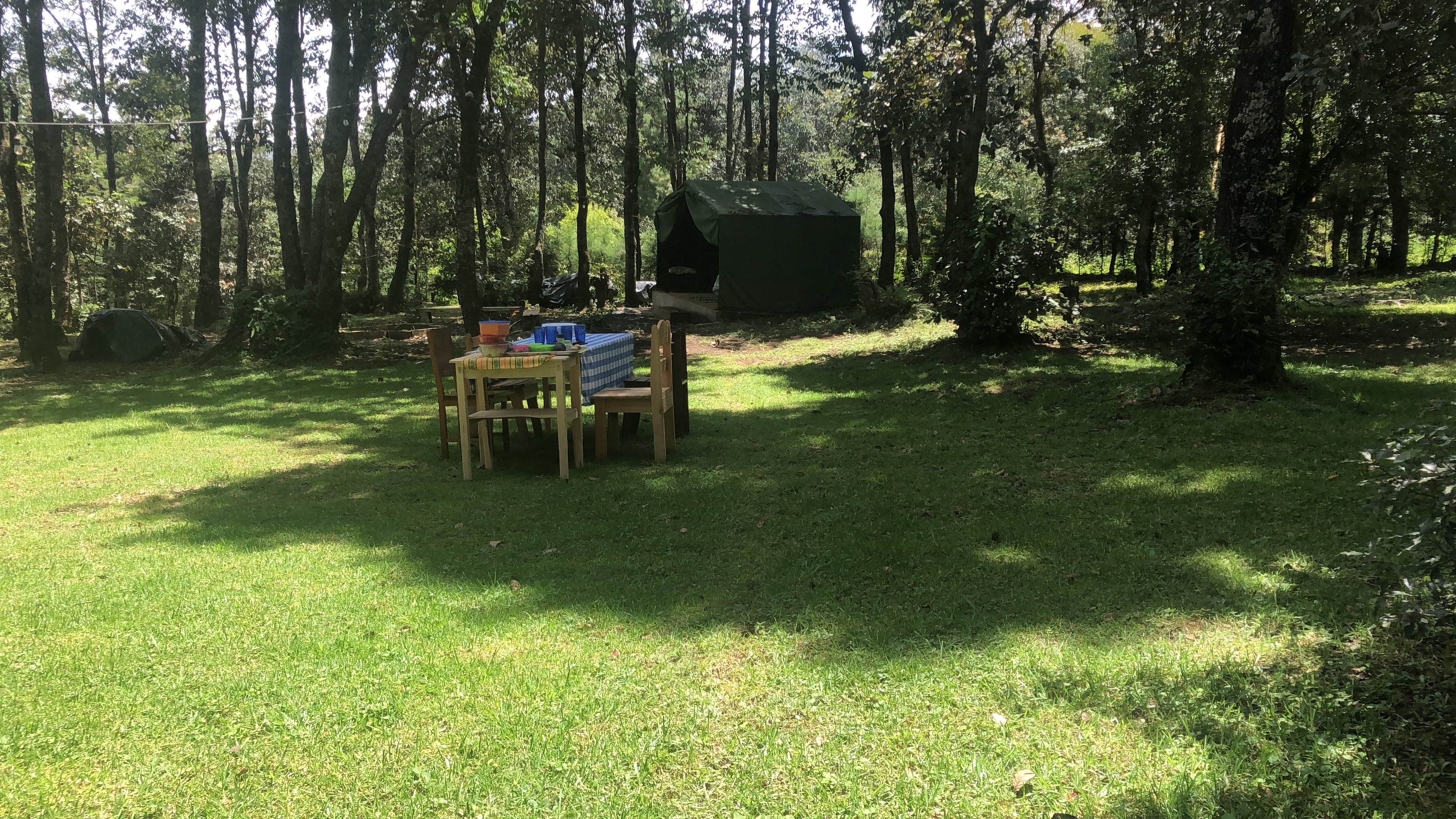 BA11FE4B-CA32-478C-9241-858591699BF1