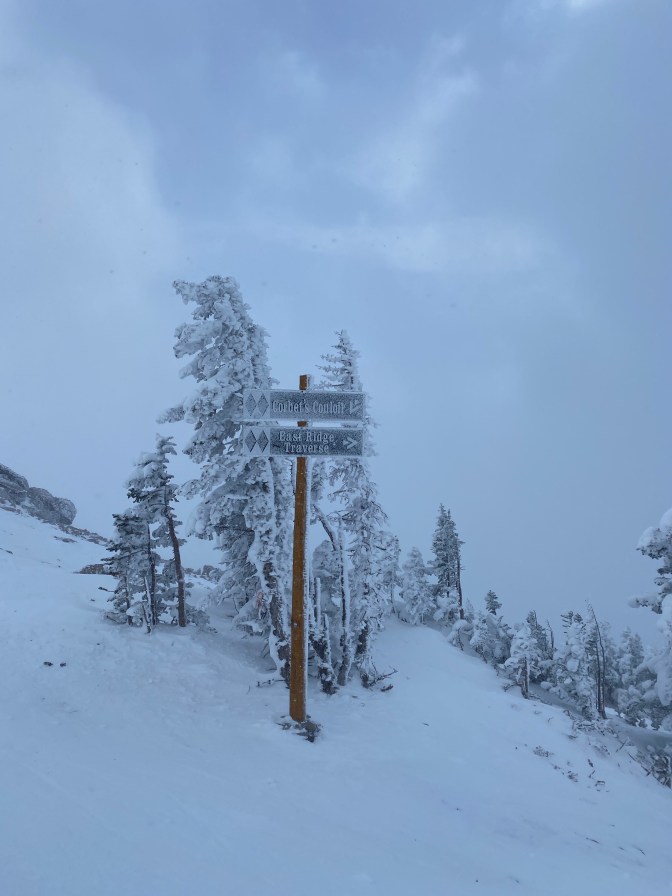 5LBzB5WKRWei4uEVdjCnYA