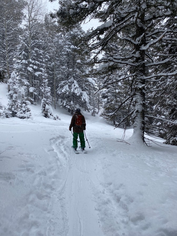 wC2fiBcLRO+mObbvOv6vug