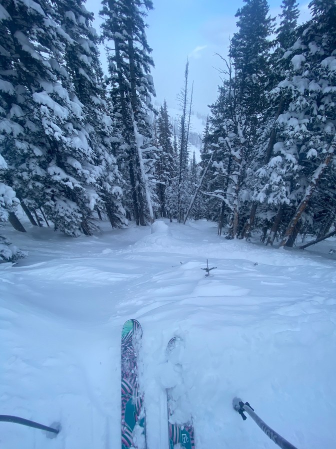 xfJVCRYYRfa%rqaNhJCq1w