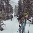 Winter Wonderlands: Jackson + Yellowstone + Vail