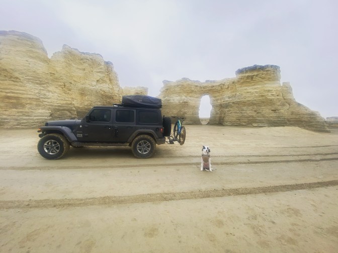 AD436916-C4BD-4A31-94E4-CD6144599659