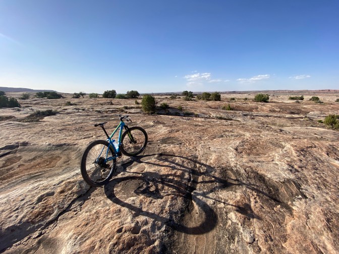 hOLln4jdTrGo0ekQYNUNtg