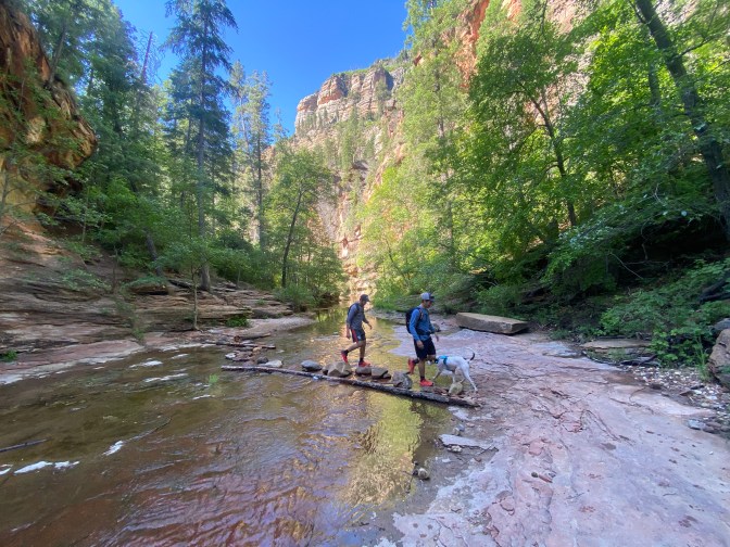 nr5yW2x7SBq6MoJNyVBGmg