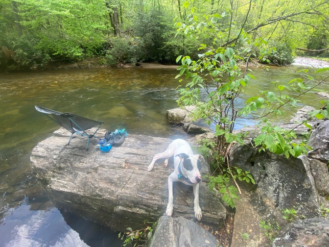 OqU03sDxTM6OGn0r67HOtw