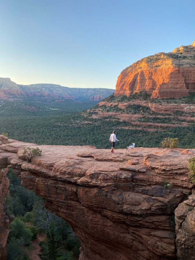 rR2guklGQrCn+1ZLaGOj0g